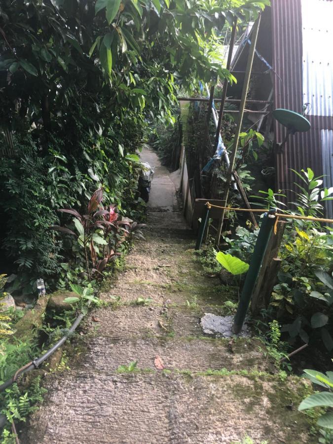 BaleCabugaoCottagesRental El Nido Bagian luar foto