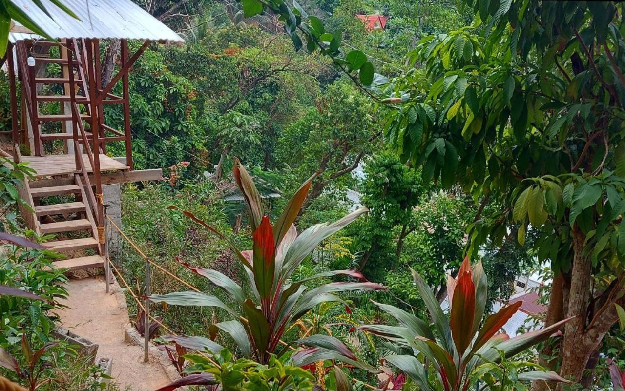 BaleCabugaoCottagesRental El Nido Bagian luar foto
